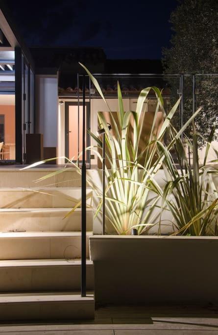 Villa Des Jacinthes تاراسكون المظهر الخارجي الصورة