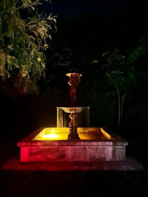Villa Des Jacinthes تاراسكون المظهر الخارجي الصورة
